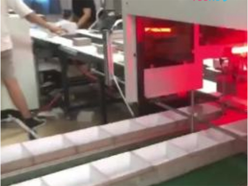 三明雙視覺定位線,雅馬哈機械手（自動調(diào)模成型機）